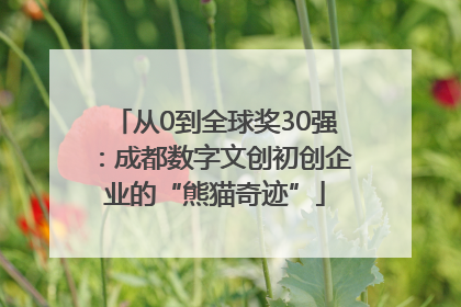 从0到全球奖30强：成都数字文创初创企业的“熊猫奇迹”