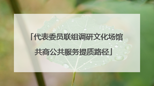 代表委员联组调研文化场馆 共商公共服务提质路径
