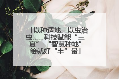 以种适地、以虫治虫……科技赋能“三夏” “智慧种地”绘就好“丰”景