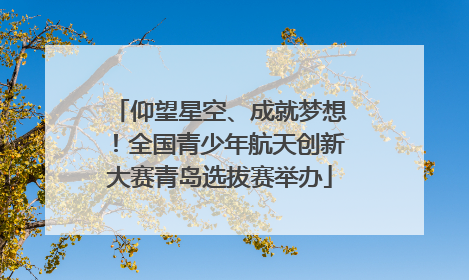 仰望星空、成就梦想！全国青少年航天创新大赛青岛选拔赛举办