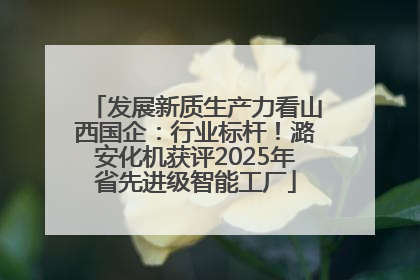 发展新质生产力看山西国企：行业标杆！潞安化机获评2025年省先进级智能工厂