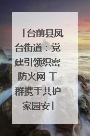 台前县凤台街道：党建引领织密防火网 干群携手共护家园安