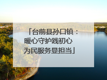 台前县孙口镇：暖心守护践初心 为民服务显担当