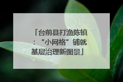 台前县打渔陈镇：“小网格”铺就基层治理新图景