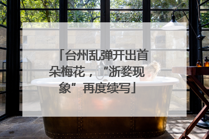 台州乱弹开出首朵梅花，“浙婺现象”再度续写