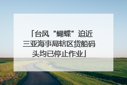 台风“蝴蝶”迫近 三亚海事局辖区货船码头均已停止作业