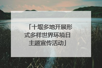 十堰多地开展形式多样世界环境日主题宣传活动