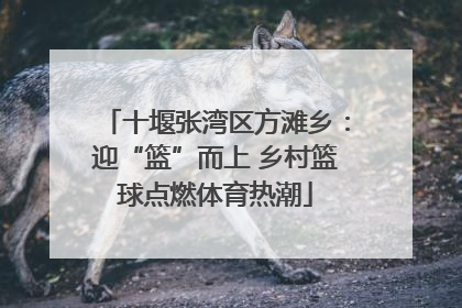 十堰张湾区方滩乡：迎“篮”而上 乡村篮球点燃体育热潮