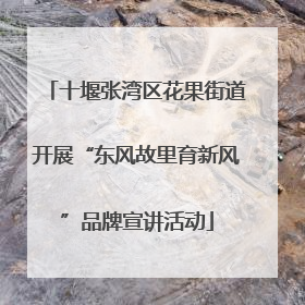 十堰张湾区花果街道开展“东风故里育新风”品牌宣讲活动