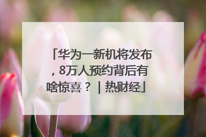 华为一新机将发布，8万人预约背后有啥惊喜？｜热财经