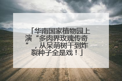 华南国家植物园上演“多肉界玫瑰传奇”，从呆萌树干到炸裂种子全是戏！