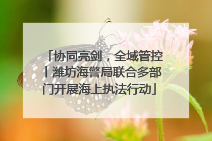 协同亮剑，全域管控丨潍坊海警局联合多部门开展海上执法行动