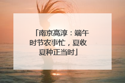 南京高淳：端午时节农事忙，夏收夏种正当时