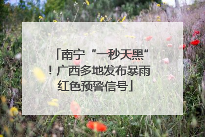 南宁“一秒天黑”！广西多地发布暴雨红色预警信号