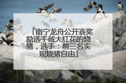 南宁龙舟公开赛奖励选手戴大红花的烧猪，选手：前三名实现烧猪自由