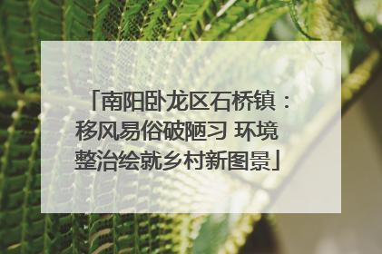 南阳卧龙区石桥镇：移风易俗破陋习 环境整治绘就乡村新图景
