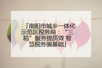 南阳市城乡一体化示范区税务局：“三精”服务提质效 智慧税务强基础