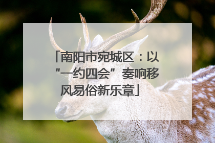 南阳市宛城区：以“一约四会”奏响移风易俗新乐章