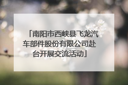 南阳市西峡县飞龙汽车部件股份有限公司赴台开展交流活动