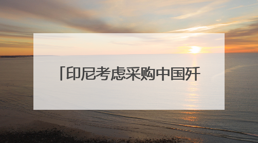 印尼考虑采购中国歼-10战斗机 正评估性能与成本优势