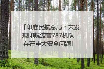 印度民航总局：未发现印航波音787机队存在重大安全问题