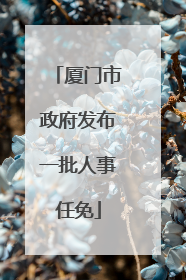 厦门市政府发布一批人事任免