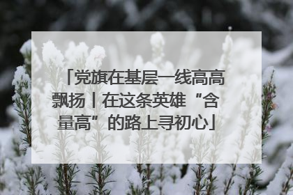 党旗在基层一线高高飘扬丨在这条英雄“含量高”的路上寻初心
