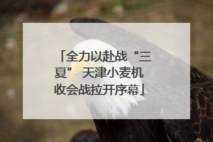 全力以赴战“三夏” 天津小麦机收会战拉开序幕