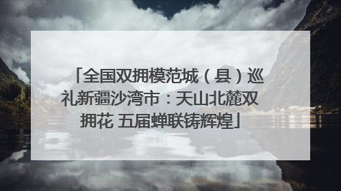 全国双拥模范城（县）巡礼新疆沙湾市：天山北麓双拥花 五届蝉联铸辉煌