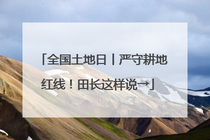 全国土地日丨严守耕地红线！田长这样说→