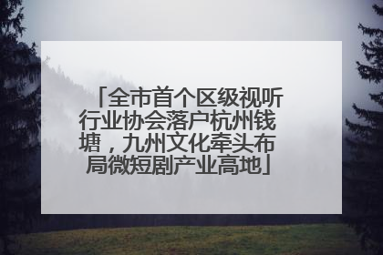 全市首个区级视听行业协会落户杭州钱塘，九州文化牵头布局微短剧产业高地