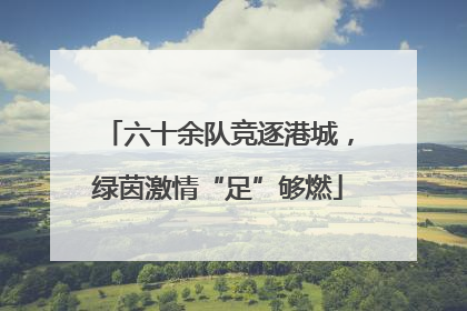 六十余队竞逐港城，绿茵激情“足”够燃