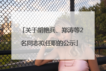 关于胡艳兵、郑涛等2名同志拟任职的公示