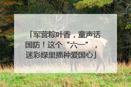 军营粽叶香，童声话国防！这个“六一”，迷彩绿里播种爱国心
