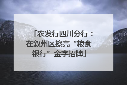 农发行四川分行：在叙州区擦亮“粮食银行”金字招牌