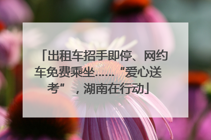 出租车招手即停、网约车免费乘坐……“爱心送考”，湖南在行动