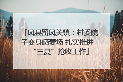 凤县留凤关镇：村委院子变身晒麦场 扎实推进“三夏”抢收工作