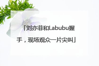 刘亦菲和Labubu握手，现场观众一片尖叫