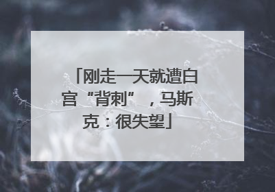 刚走一天就遭白宫“背刺”，马斯克：很失望