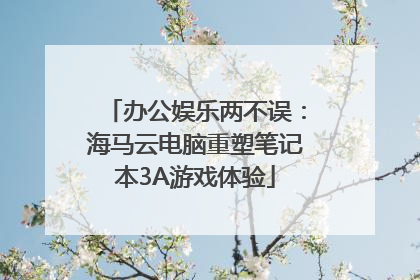 办公娱乐两不误：海马云电脑重塑笔记本3A游戏体验