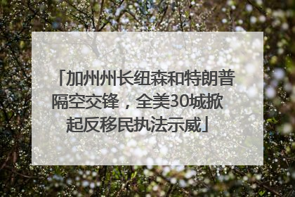 加州州长纽森和特朗普隔空交锋，全美30城掀起反移民执法示威