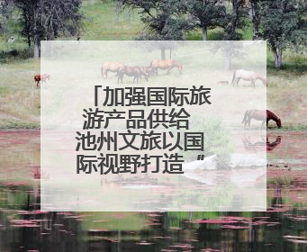 加强国际旅游产品供给 池州文旅以国际视野打造“世界名片”