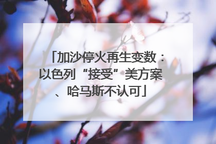加沙停火再生变数：以色列“接受”美方案、哈马斯不认可