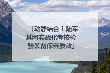 动静结合！陆军某团实战化考核检验装备保养质效