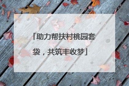 助力帮扶村桃园套袋，共筑丰收梦