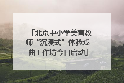 北京中小学美育教师“沉浸式”体验戏曲工作坊今日启动