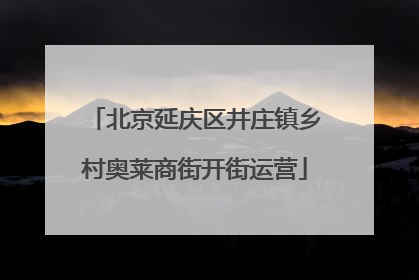 北京延庆区井庄镇乡村奥莱商街开街运营