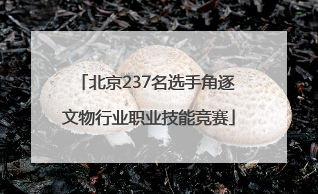 北京237名选手角逐文物行业职业技能竞赛