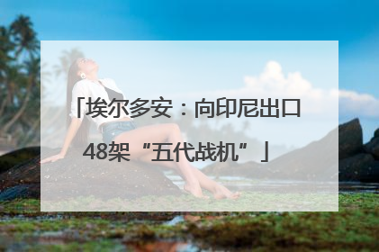 埃尔多安：向印尼出口48架“五代战机”