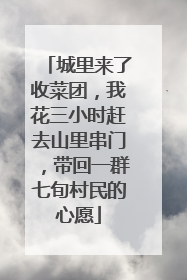 城里来了收菜团，我花三小时赶去山里串门，带回一群七旬村民的心愿